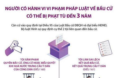 Người có hành vi vi phạm pháp luật về bầu cử có thể bị phạt tù