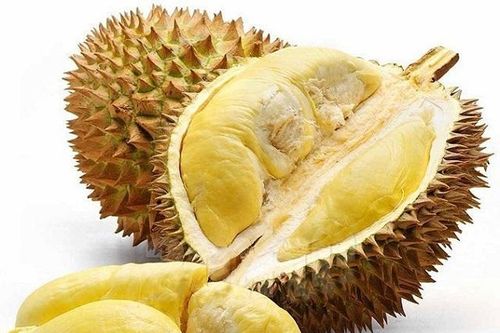 Gọi tên những loại sầu riêng được người dùng 'phát cuồng'