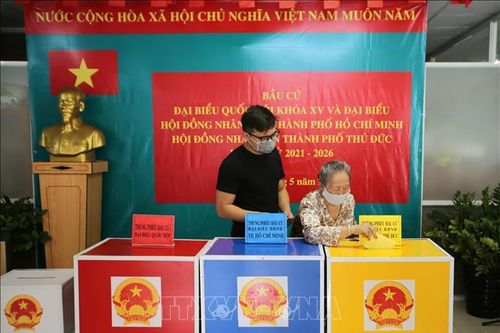Hơn 46% cử tri TP Hồ Chí Minh đã đi bỏ phiếu