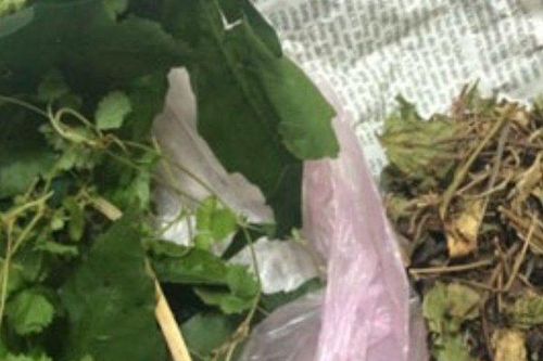 Chữa tiêu chảy bằng thuốc nam, bác sĩ bất lực để gia đình xin con về