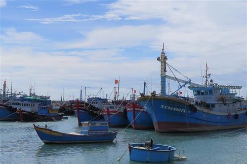 Khắc phục thẻ vàng IUU: Ưu tiên nguồn vốn đầu tư công cho cảng cá