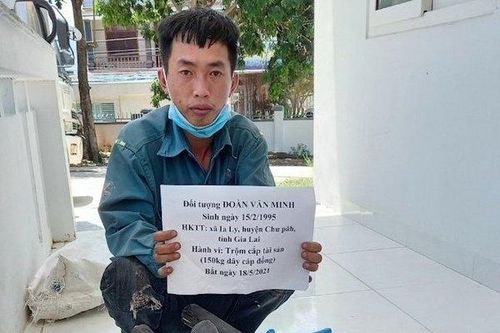 Bắt quả tang đối tượng dùng xe tải đi trộm dây cáp đồng