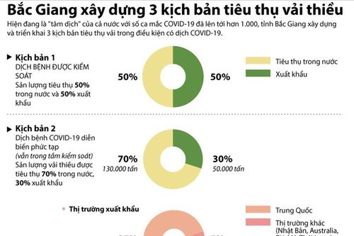 Infographic: 3 kịch bản tiêu thụ vải thiều của Bắc Giang trong dịch