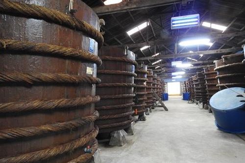 Nghề làm nước mắm ở Phú Quốc trở thành di sản văn hóa phi vật thể quốc gia