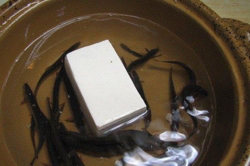 Đậu hũ địa ngục, món ăn tàn nhẫn khiến nhiều người 'lạnh gáy'