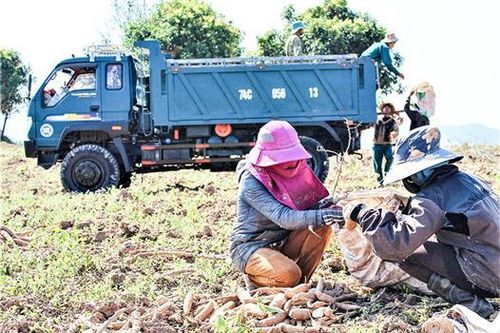 Tìm giải pháp tiêu thụ nông sản trong điều kiện COVID-19