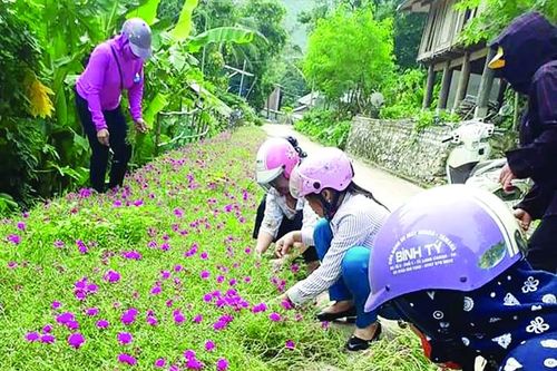 Huyện Mường Lát đẩy mạnh phong trào thi đua yêu nước