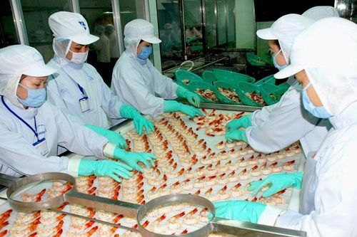 EAEU đưa Việt Nam ra khỏi danh sách ưu đãi GSP: Doanh nghiệp phải thay đổi để thích ứng