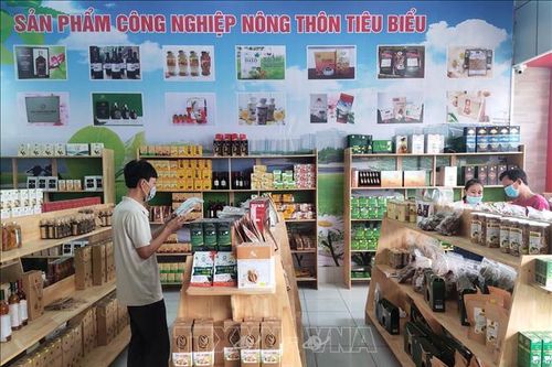 Kết nối sản phẩm OCOP đến với người tiêu dùng