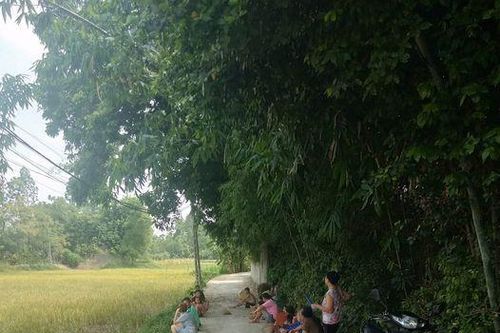 Tre Làng