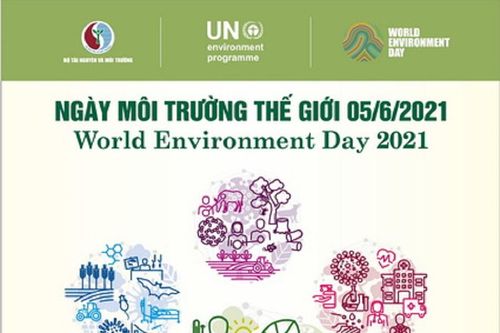 Ngày Môi trường thế giới 2021 mang chủ đề 'Phục hồi hệ sinh thái'