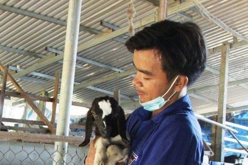 Kỹ sư công nghệ thông tin bỏ phố về quê làm giàu từ con kêu 'be be'