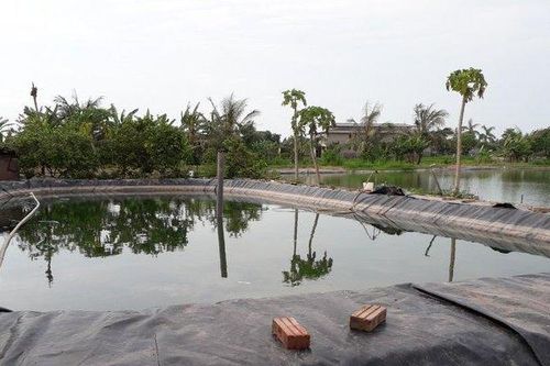 Thương tâm 2 cháu bé song sinh 2 tuổi tử vong do đuối nước