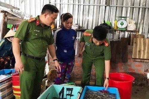 Người đàn ông thu gom tôm sú chứa tạp chất Agar bị phạt trên 70 triệu