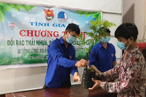 Gia Lai: 'Đổi rác thải nhựa, sách báo cũ lấy cây xanh'