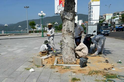 Công viên biển Xuân Diệu mới đưa vào sử dụng đã hư hỏng