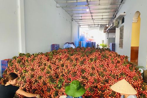 Mở 5 điểm kết nối tiêu thụ nông sản Việt tại Hà Nội