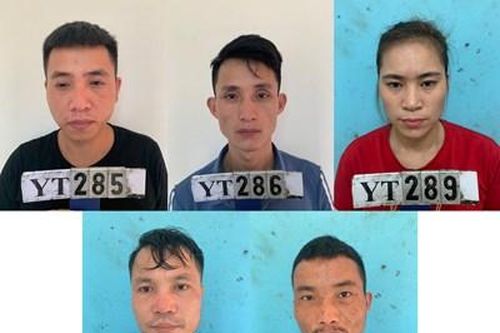 Triệt phá 3 tụ điểm bán lẻ ma túy cho 'con nghiện' ở Nghệ An