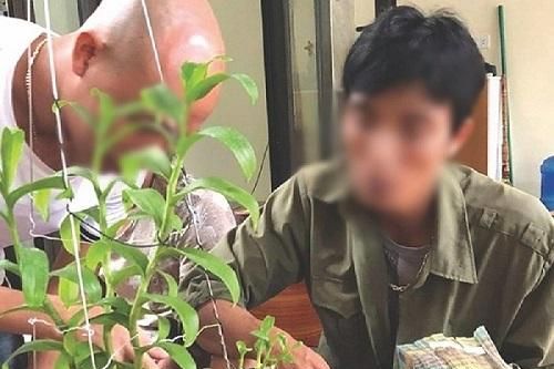 Đồng Tháp: Trào lưu lan đột biến, nguy cơ biến tướng thành đa cấp hoặc rửa tiền
