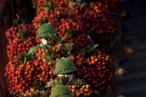Một nghệ sĩ nhiếp ảnh từ Đồng Nai tự nguyện ra 'chia lửa' cùng tâm dịch Bắc Giang