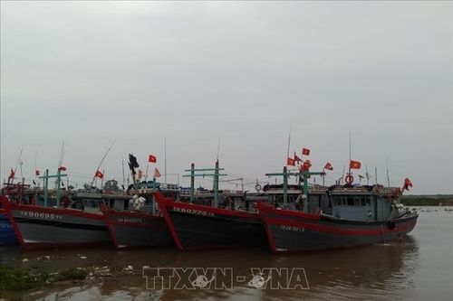 Thanh Hóa khẩn trương khắc phục hậu quả cơn bão số 2