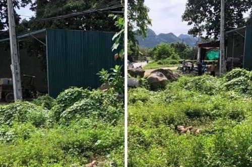 Hòa Bình: Người dân 'hoảng hồn' khi phát hiện nam thanh niên tử vong bên đường