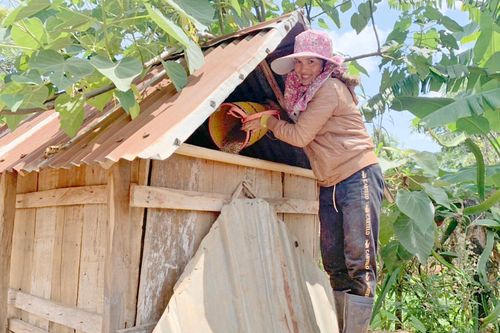 Kho thóc tình thương: 'Bà đỡ' lúc giáp hạt