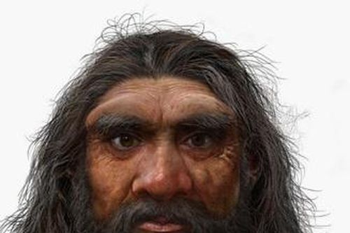 Phát hiện thêm họ hàng mới của loài người hiện đại ngoài Neanderthal