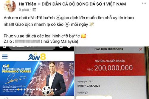 Rộ cá độ online mùa bóng đá