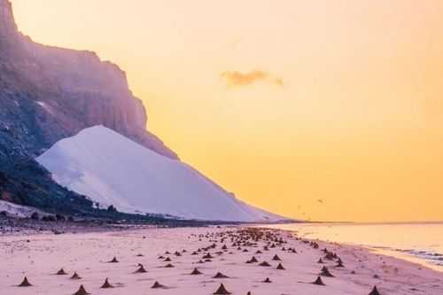 Khám phá 'hòn đảo ngoài hành tinh' Socotra