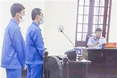 54 tháng tù về tội 'Tổ chức cho người khác nhập cảnh trái phép'