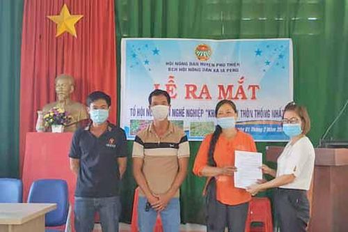 Phú Thiện ra mắt Tổ hội nông dân nghề nghiệp 'Khoai lang'