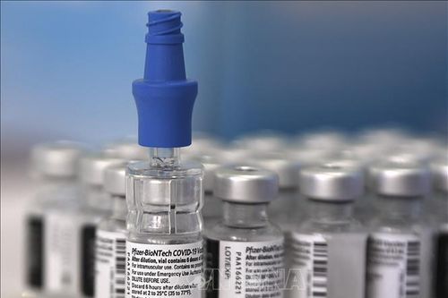 Israel đàm phán hoán đổi số vaccine của hãng Pfizer dư thừa