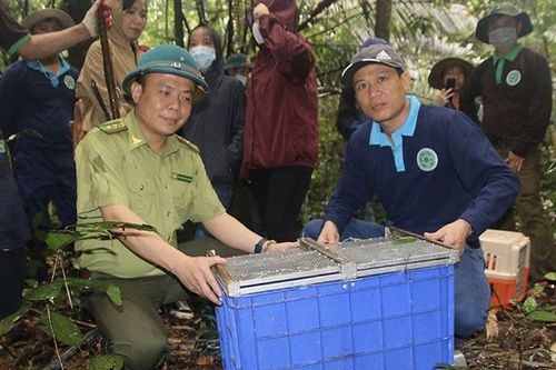 Nơi hàng nghìn cá thể động vật hoang dã được về với tự nhiên