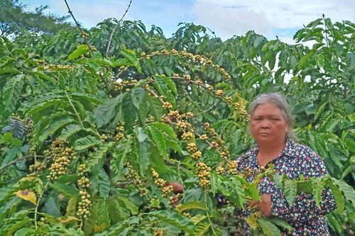 Ia Grai đẩy mạnh phong trào 'Tuổi cao-gương sáng'