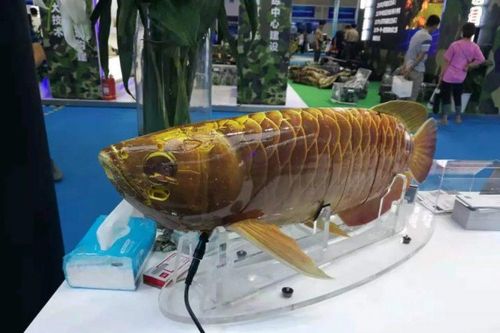Trung Quốc tiết lộ thiết bị lặn không người lái dưới nước giống hệt cá