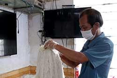 Hội viên nông dân làm kinh tế giỏiTin khácChương trình 'Tiếp sức mùa thi': Nhân lên những hành động đẹpSẵn sàng cho kỳ thi tốt nghiệp THPT năm 2021