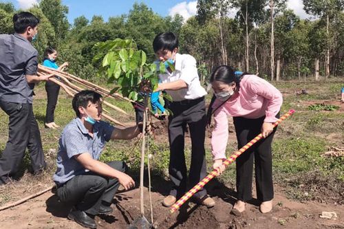 Mang Yang: Phát động hưởng ứng chương trình trồng 1 tỷ cây xanh
