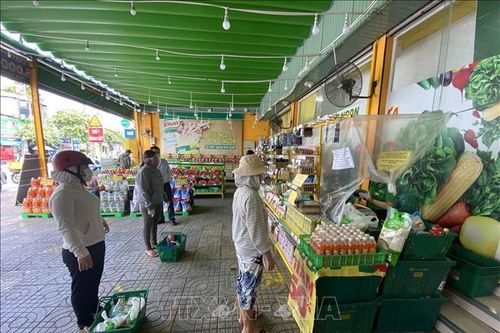TP Hồ Chí Minh kêu gọi kiều bào hiến kế phòng, chống COVID-19