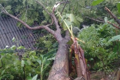 Trong 3 ngày, mưa lớn gây thiệt hại 1,3 tỷ đồng