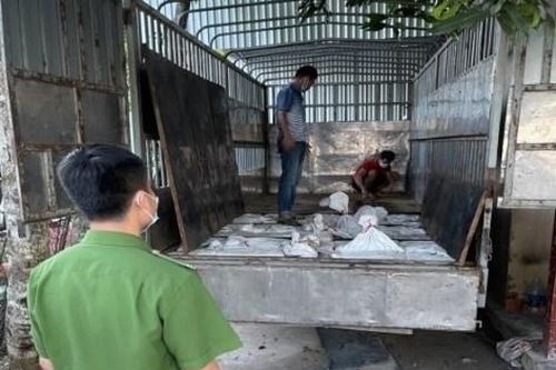 Bắt lô hàng 12 tấn quặng thiếc tại Nghệ An