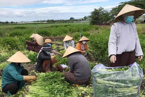 Đức Trọng: Hơn 1.000 tấn nông sản và nhu yếu phẩm hỗ trợ người dân vùng dịch