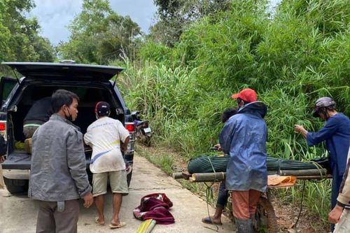 Đak Đoa: Mắc võng ngủ giữa rừng, 1 thanh niên bị rắn cắn tử vong