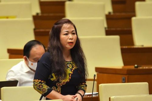 ĐBQH: 'Có cá nhân khi được giao nhiệm vụ phân bổ vốn tự cho mình quyền ban phát'