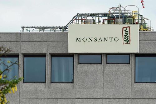 Ba giáo viên Mỹ được bồi thường 185 triệu USD sau vụ kiện Monsanto