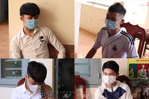 Xử lý hành vi tàng trữ ma túy, vi phạm phòng dịch COVID-19