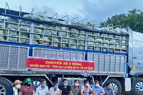 Gia Lai: Trên 268 triệu đồng và 27 tấn rau củ quả ủng hộ phòng-chống dịch Covid-19