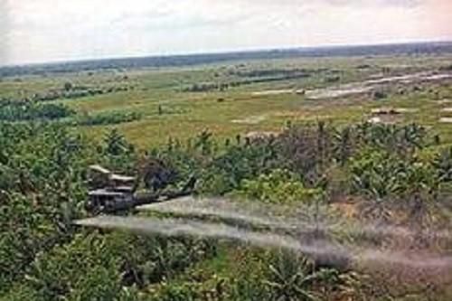 Nỗi đau da cam vẫn còn đó