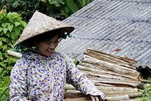 Nông dân Cao Minh phát huy thế mạnh từ cây quếTin khácPhát huy vai trò công tác tuyên giáo, tạo đồng thuận xã hôịSáng mãi truyền thống 'uống nước nhớ nguồn'