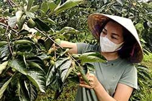 Cho vay giải quyết việc làm: Đòn bẩy hỗ trợ người lao độngTin khácPhát huy vai trò công tác tuyên giáo, tạo đồng thuận xã hôịSáng mãi truyền thống 'uống nước nhớ nguồn'